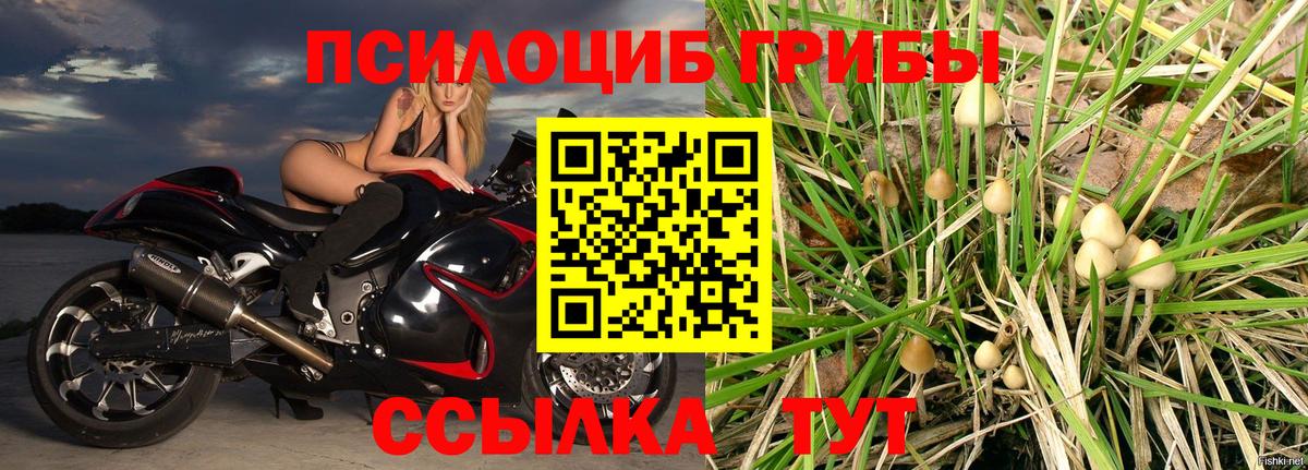 Галлюциногенные грибы прущие грибы  Вход с VPN  Анжеро-Судженск 